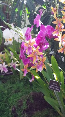 20130815_161844.jpg
