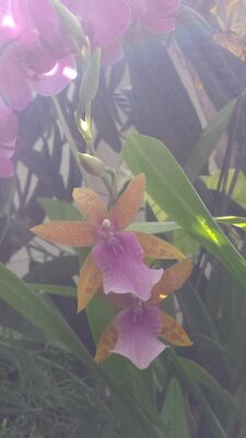 20130815_161900.jpg