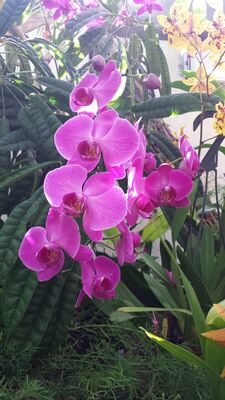 20130815_161909.jpg