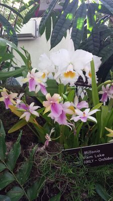 20130815_161917.jpg