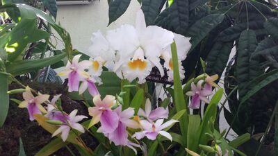 20130815_161928.jpg