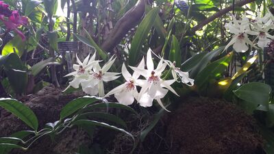 20130815_161938.jpg