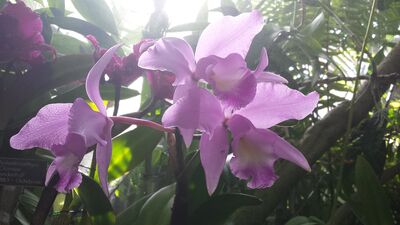 20130815_161949.jpg