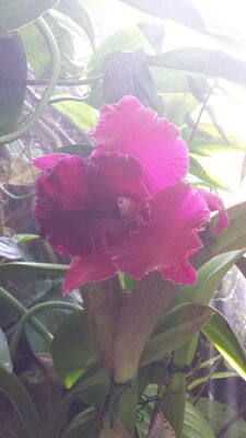 20130815_162005.jpg