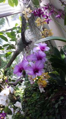 20130815_162029.jpg