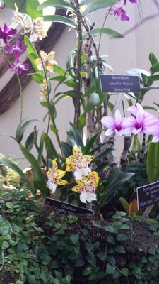 20130815_162040.jpg