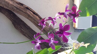 20130815_162048.jpg