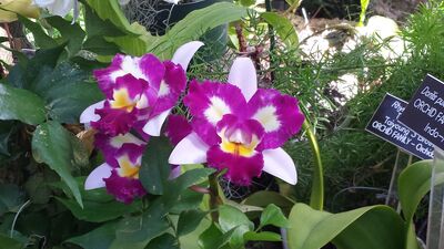 20130815_162101.jpg
