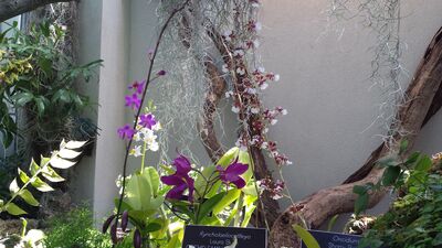20130815_162110.jpg
