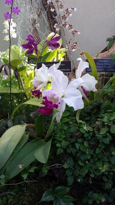 20130815_162119.jpg