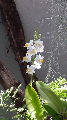 20130815_162129.jpg