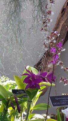 20130815_162138.jpg