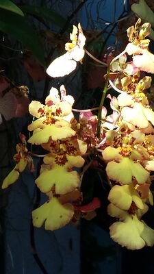 20130815_162221.jpg