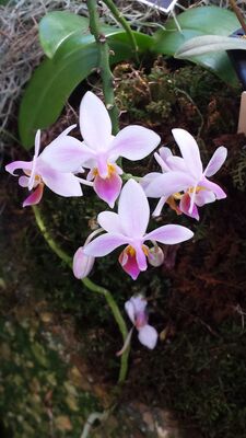 20130815_162228.jpg