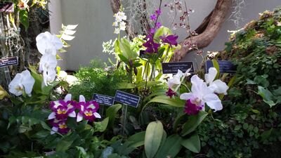 20130815_162236.jpg