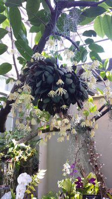 20130815_162246.jpg