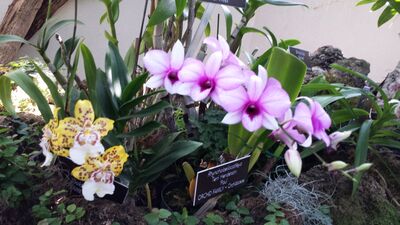 20130815_162300.jpg