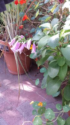20130815_162344.jpg