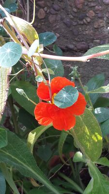 20130815_162352.jpg
