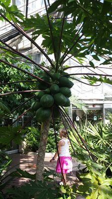 20130815_162407.jpg