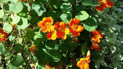 20130815_162425.jpg