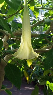 20130815_162430.jpg