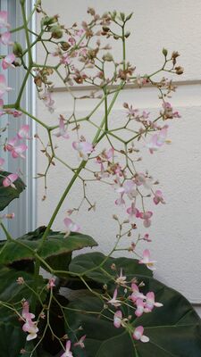 20130815_162649.jpg