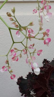 20130815_162701.jpg
