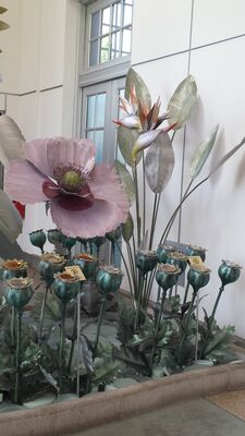 20130815_163118.jpg