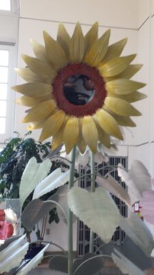 20130815_163124.jpg