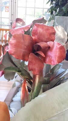 20130815_163142.jpg