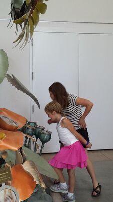 20130815_163219.jpg
