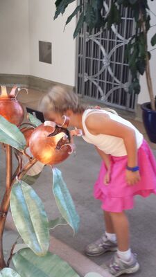 20130815_163246.jpg