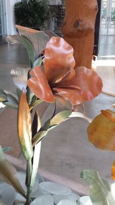20130815_163307.jpg