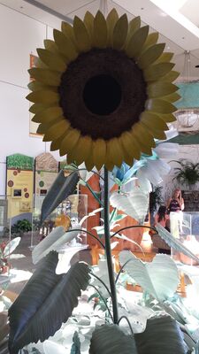 20130815_163436.jpg