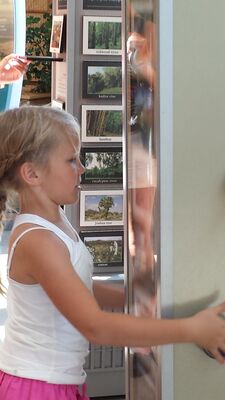 20130815_163511.jpg