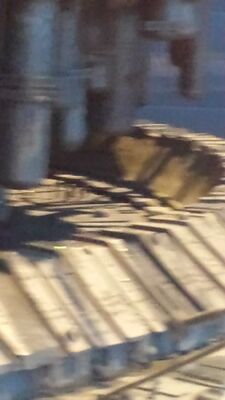 20130816_120129.jpg