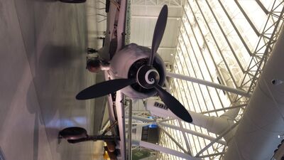 20130816_120650.jpg