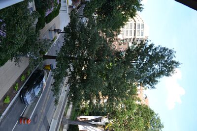 DSC_0007.JPG