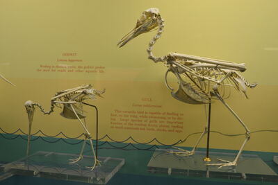 DSC_0024.JPG