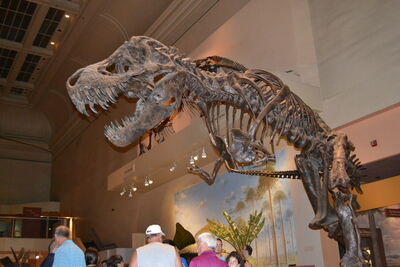 DSC_0047.JPG