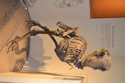 DSC_0050.JPG