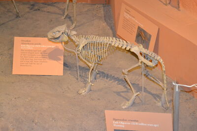 DSC_0051.JPG