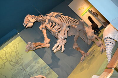 DSC_0057.JPG