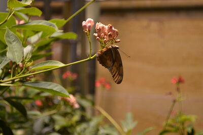 DSC_0064.JPG