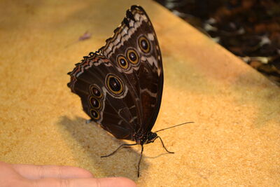 DSC_0077.JPG