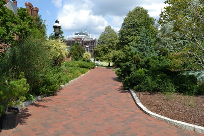 DSC_0099.JPG
