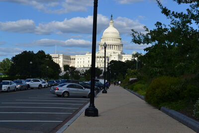 DSC_0164.JPG