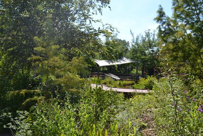 DSC_0195.JPG