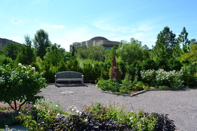 DSC_0200.JPG